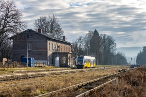 SA135-003: Głuszyca
