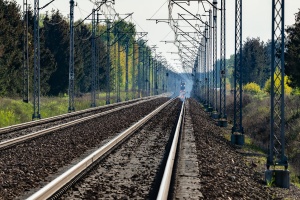 EP07-391: Misie - Międzyrzec Podlaski