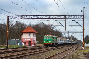 EU07-055: Rębusz