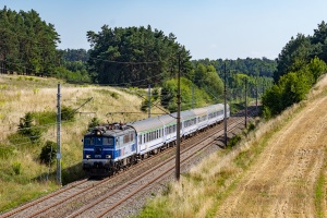 EU07-306: Lisie Pole