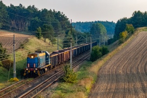 TEM2-292: Lisie Pole