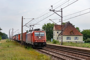 E186-242: Warząchewka E186-242: Warząchewka
