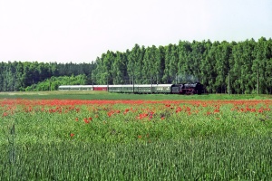 BR03 2204: Boleszkowice - Mieszkowice