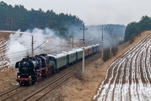 BR52 8177: Lisie Pole