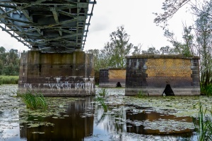 Siekierki - most (3/3)